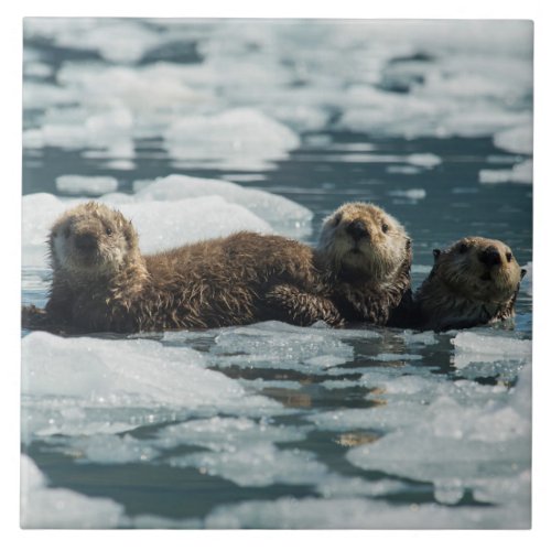 Sea Otter Family Ceramic Tile