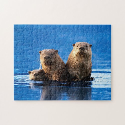 Sea Otter Family Jigsaw Puzzle