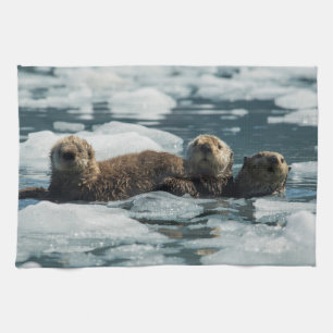 Sea Otter Family Kitchen Towel