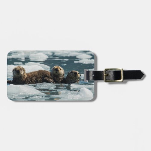 Sea Otter Family Luggage Tag