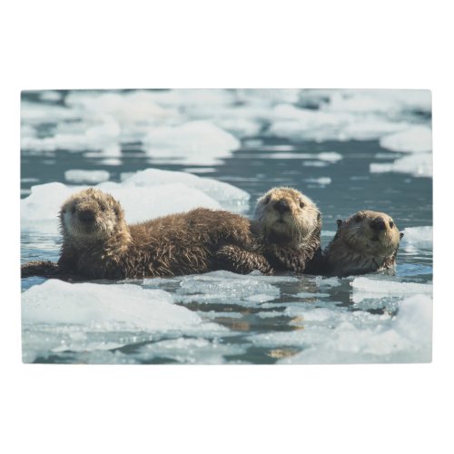 Sea Otter Family Metal Print