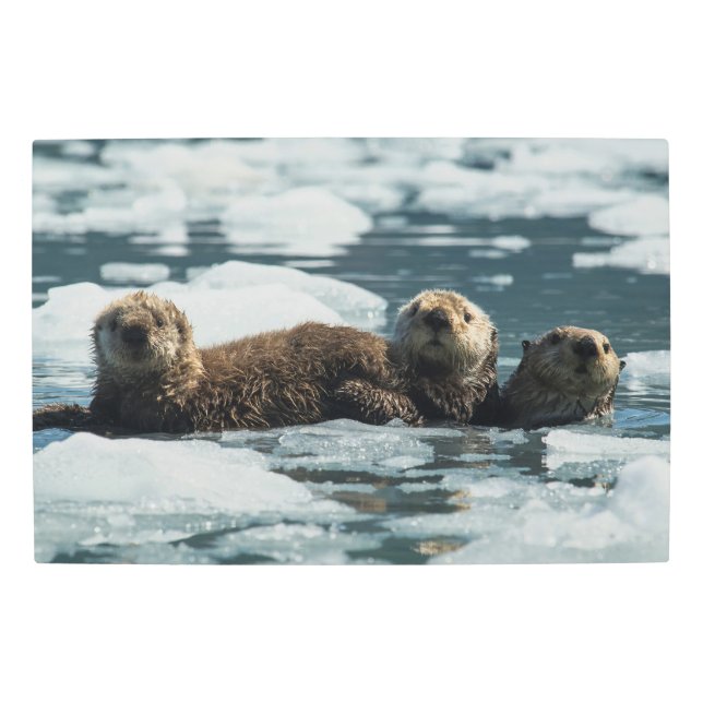 Sea Otter Family Metal Print (Front)