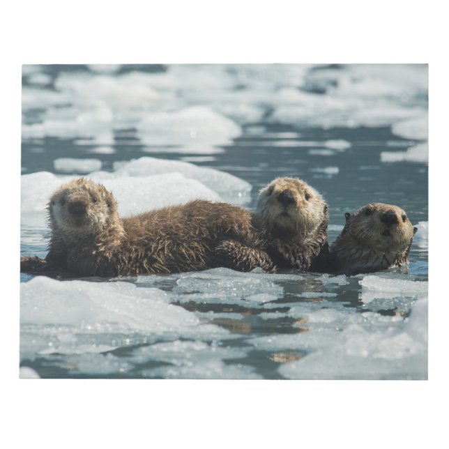 Sea Otter Family Notepad (Front)