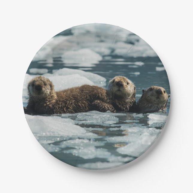 Sea Otter Family Paper Plates (Front)