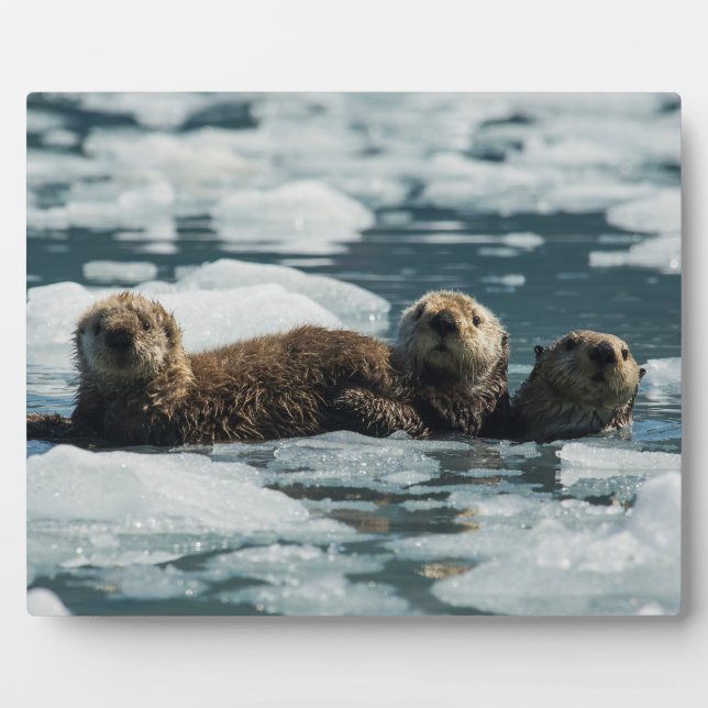 Sea Otter Family Plaque (Front)