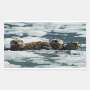 Sea Otter Family Rectangular Sticker