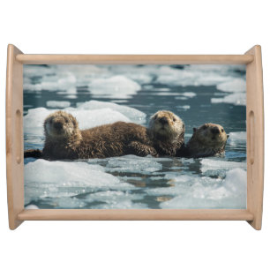 Sea Otter Family Serving Tray