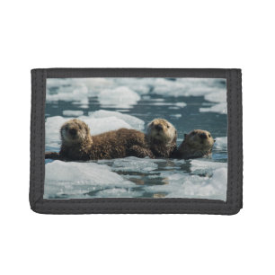 Sea Otter Family Tri-fold Wallet