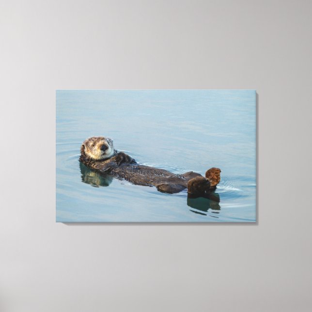 Sea otter floating on back in ocean canvas print (Front)