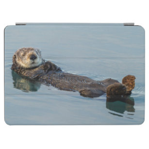 Sea otter floating on back in ocean iPad air cover