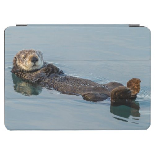 Sea otter floating on back in ocean iPad air cover