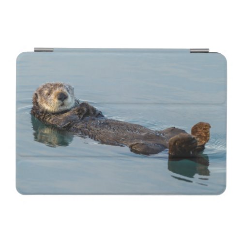 Sea otter floating on back in ocean iPad mini cover