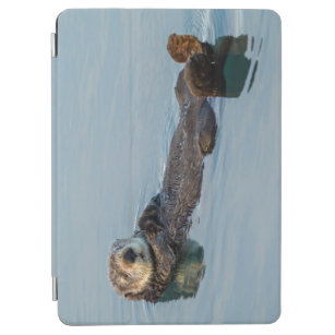 Sea otter floating on back in ocean iPad air cover