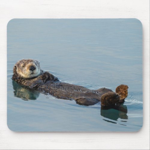 Sea otter floating on back in ocean mouse pad