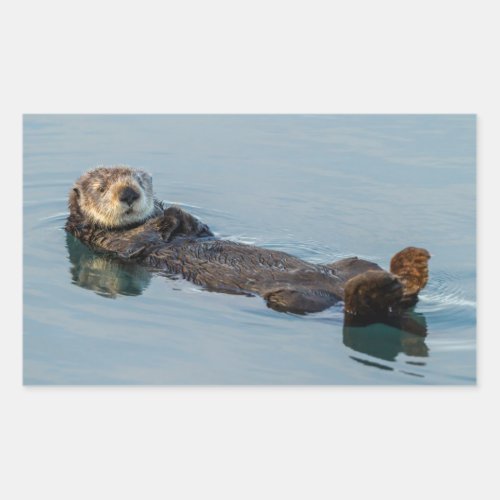 Sea otter floating on back in ocean rectangular sticker