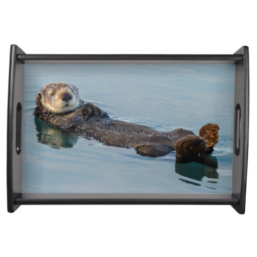 Sea otter floating on back in ocean serving tray