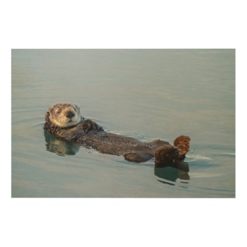 Sea otter floating on back in ocean wood wall decor