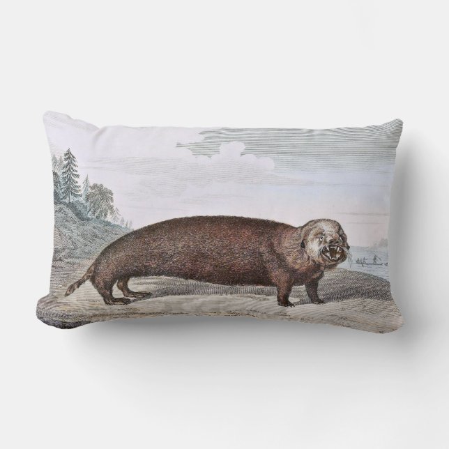 Sea Otter Illustration Lumbar Pillow (Front)