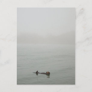 Sea Otter in the fog Postcard