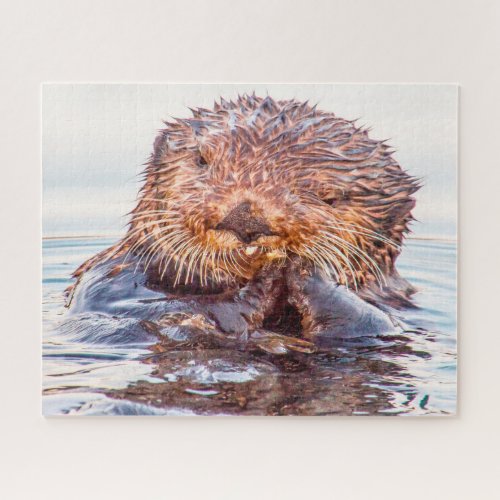 Sea Otter Jigsaw Puzzle