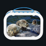 Sea-otter lunchbox<br><div class="desc">Lunchbox with photo of sea-otters and sealion from New Forest Pics</div>