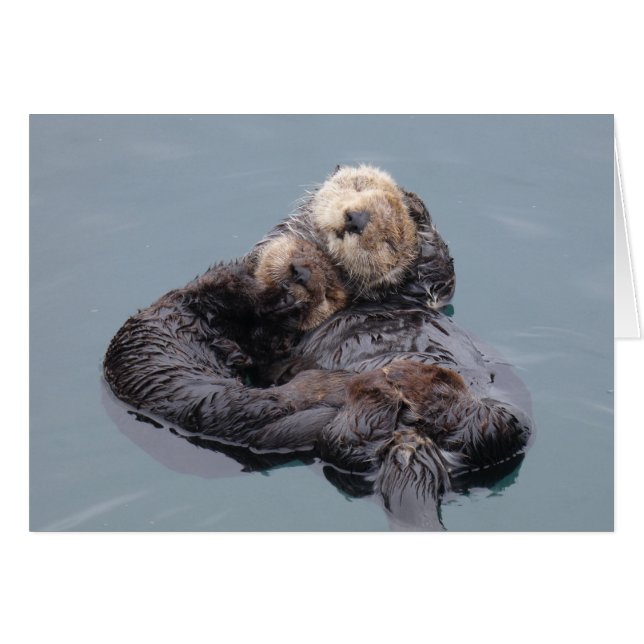 Sea Otter Mom and Pup (Front Horizontal)