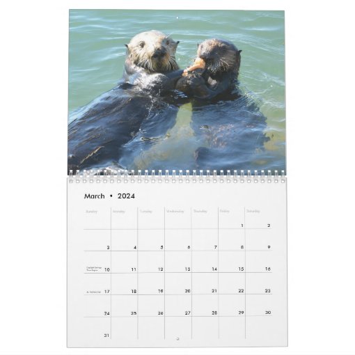 Sea Otter Mom and Pup Calendar 1 Zazzle
