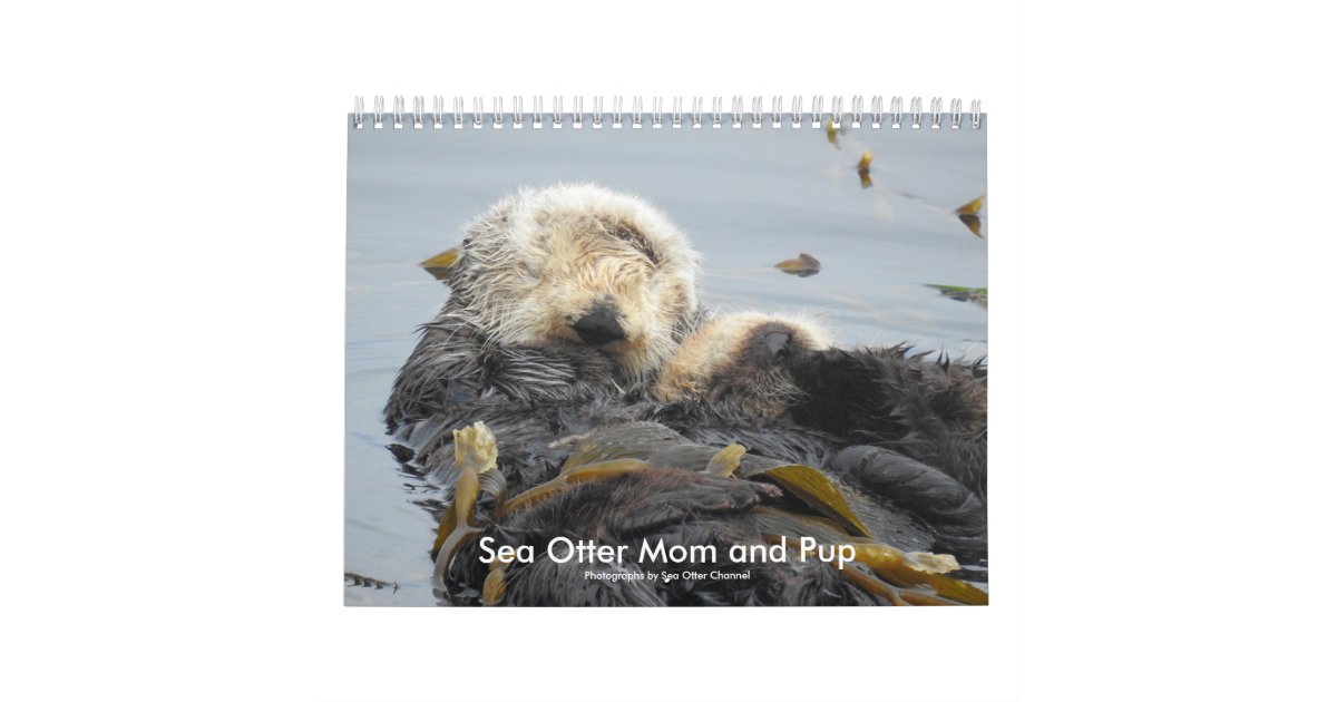 Sea Otter Mom and Pup Calendar #1 | Zazzle