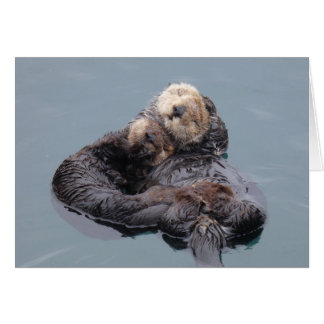 Sea Otter Mom and Pup Cards