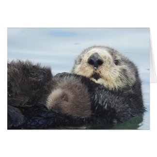 Sea Otter Mom and Pup Cards