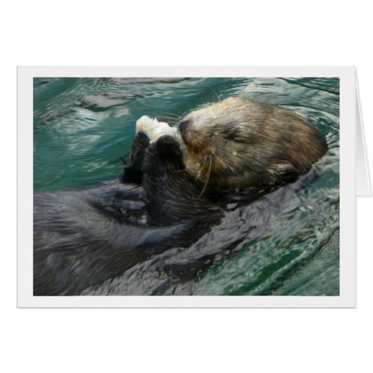Sea Otter Snacking Cards (Front Horizontal)