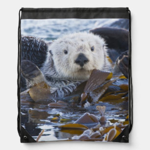 Sea otter wrapped in kelp drawstring bag