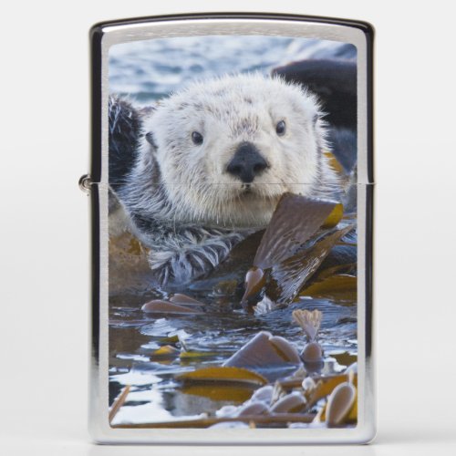 Sea otter wrapped in kelp zippo lighter