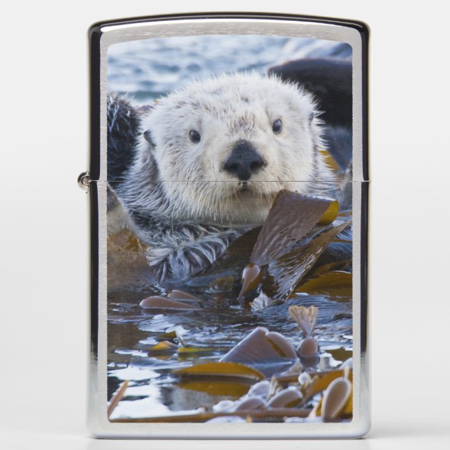 Sea otter wrapped in kelp zippo lighter (Front)