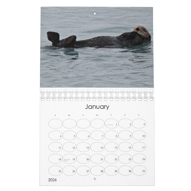 Sea Otterliscious 2013 Calendar (Jan 2026)