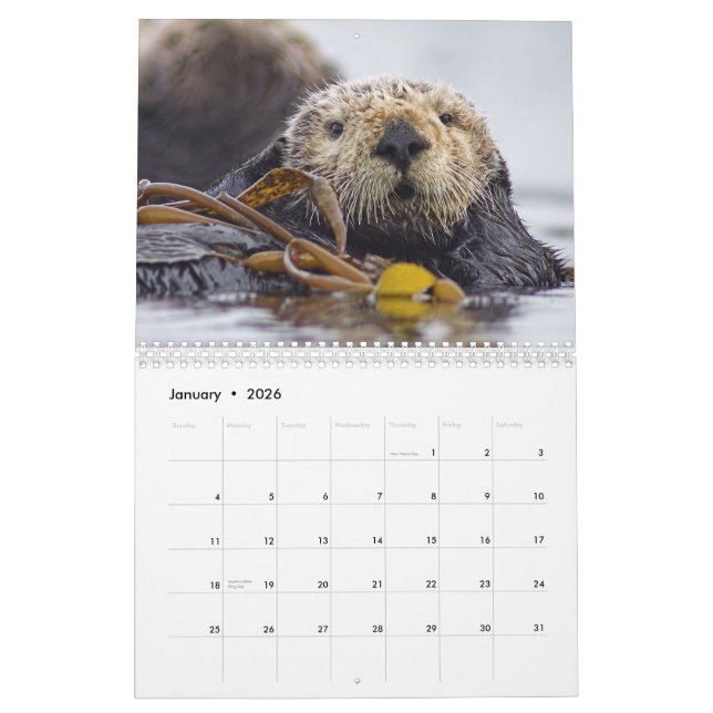 Sea Otters and Seals 2015 Wall Calendar - Wildlife (Jan 2026)
