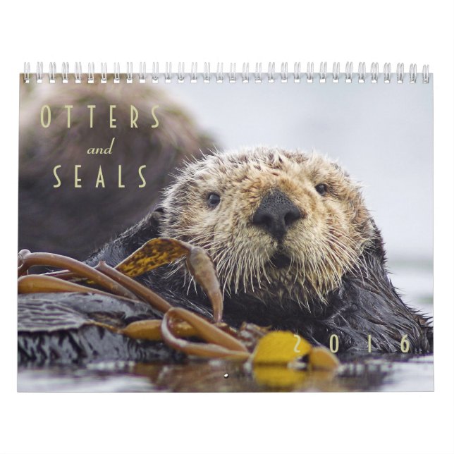 Sea Otters and Seals 2016 Wall Calendar - Wildlife (Cover)