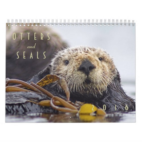 Sea Otters and Seals 2016 Wall Calendar _ Wildlife