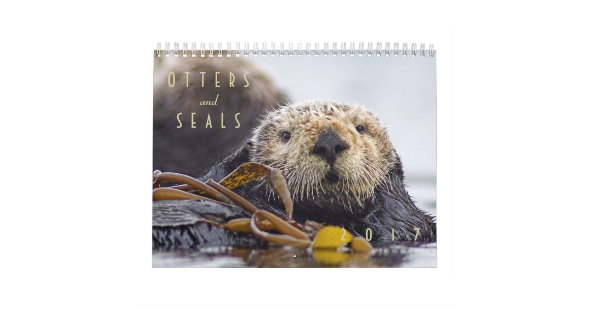 Sea Otters And Seals 2017 Wall Calendar Wildlife Zazzle Com