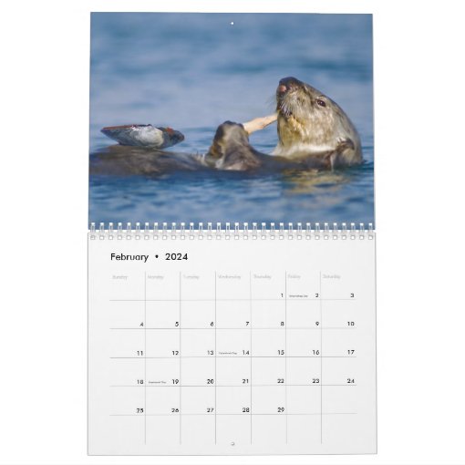 Sea Otters and Seals 2017 Wall Calendar Wildlife Zazzle