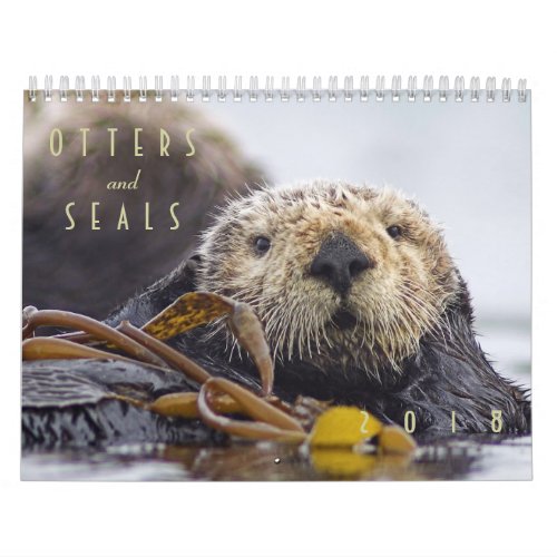 Sea Otters and Seals 2018 Wall Calendar _ Wildlife