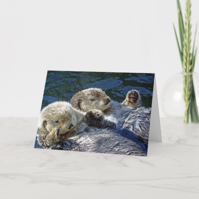 Sea-otters card (Front)