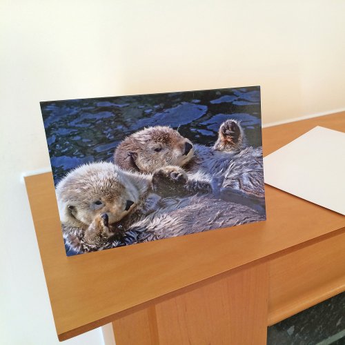 Sea_otters Card