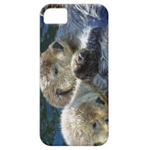 Sea-otters
