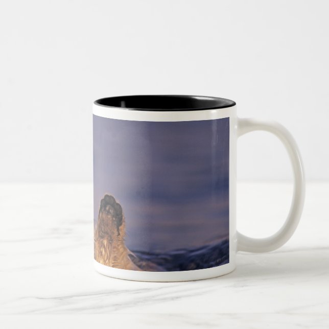 Sea Otters, Enhydra lutris 2 Two-Tone Coffee Mug (Right)