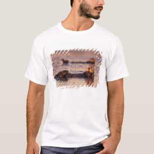 Sea Otters, Enhydra lutris 3 T-Shirt