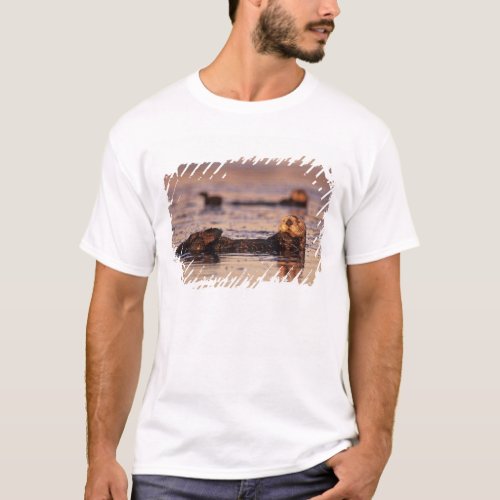 Sea Otters Enhydra lutris 3 T_Shirt