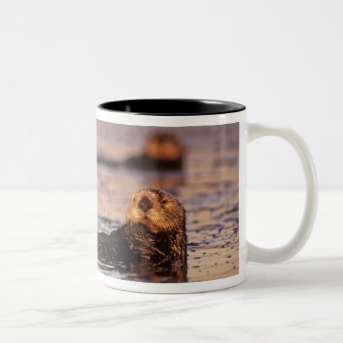 Sea Otters Enhydra lutris 3 Two_Tone Coffee Mug