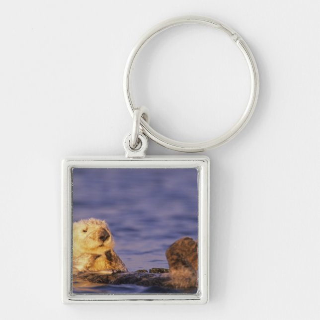 Sea Otters, Enhydra lutris 4 Keychain (Front)