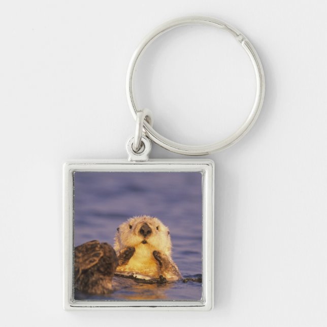 Sea Otters, Enhydra lutris 5 Keychain (Front)